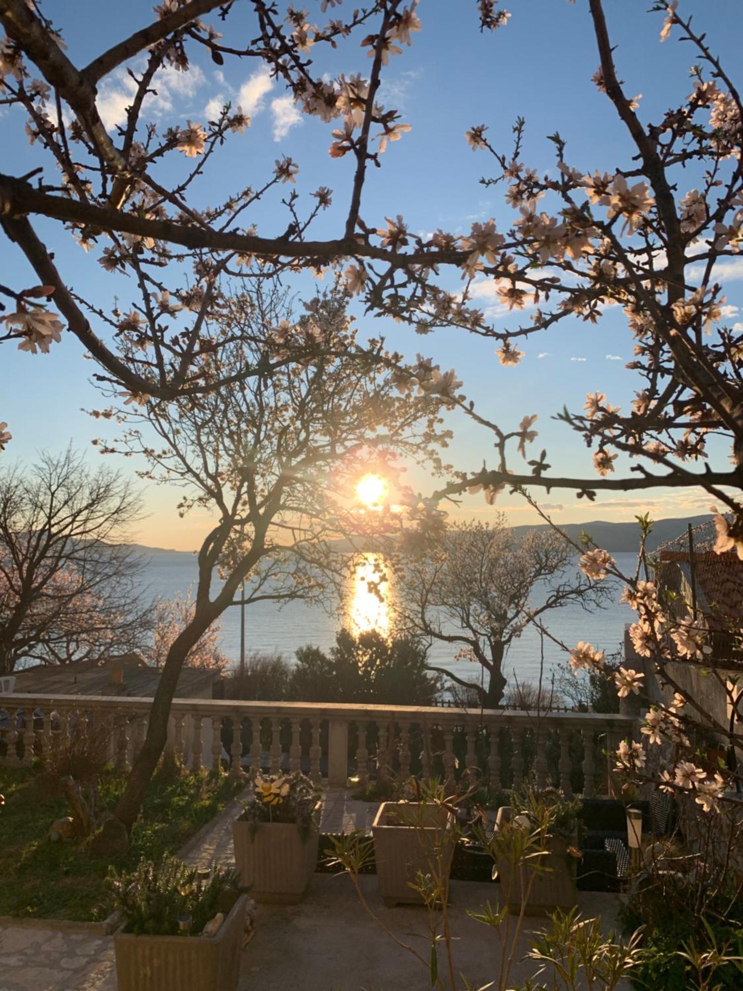 Apartment Marino Senj  Εξωτερικό φωτογραφία